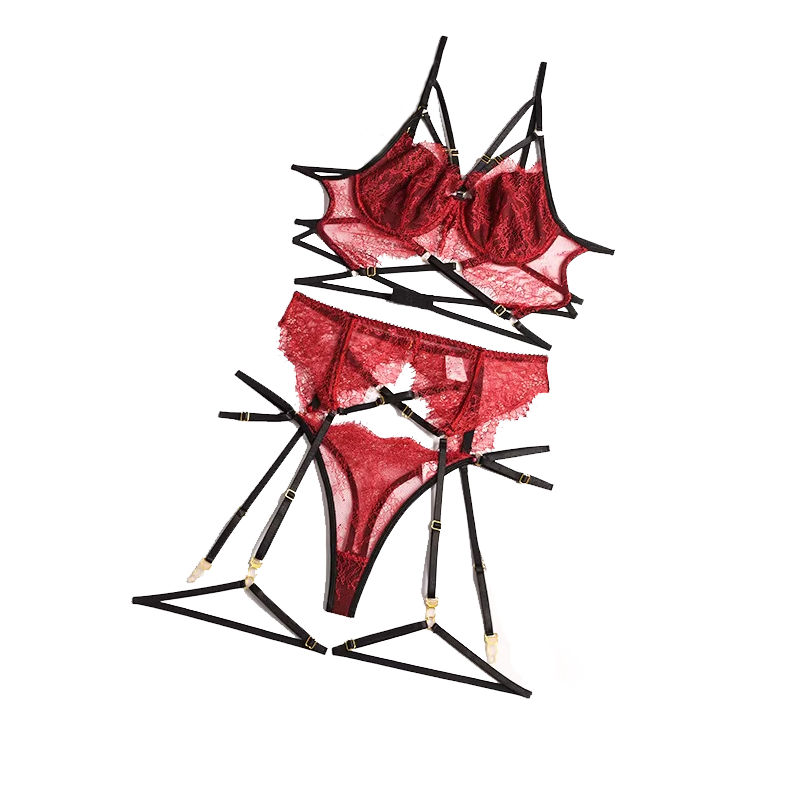 New Lace Sexy Lingerie Transpa - Lace Bralette Set recension och pris